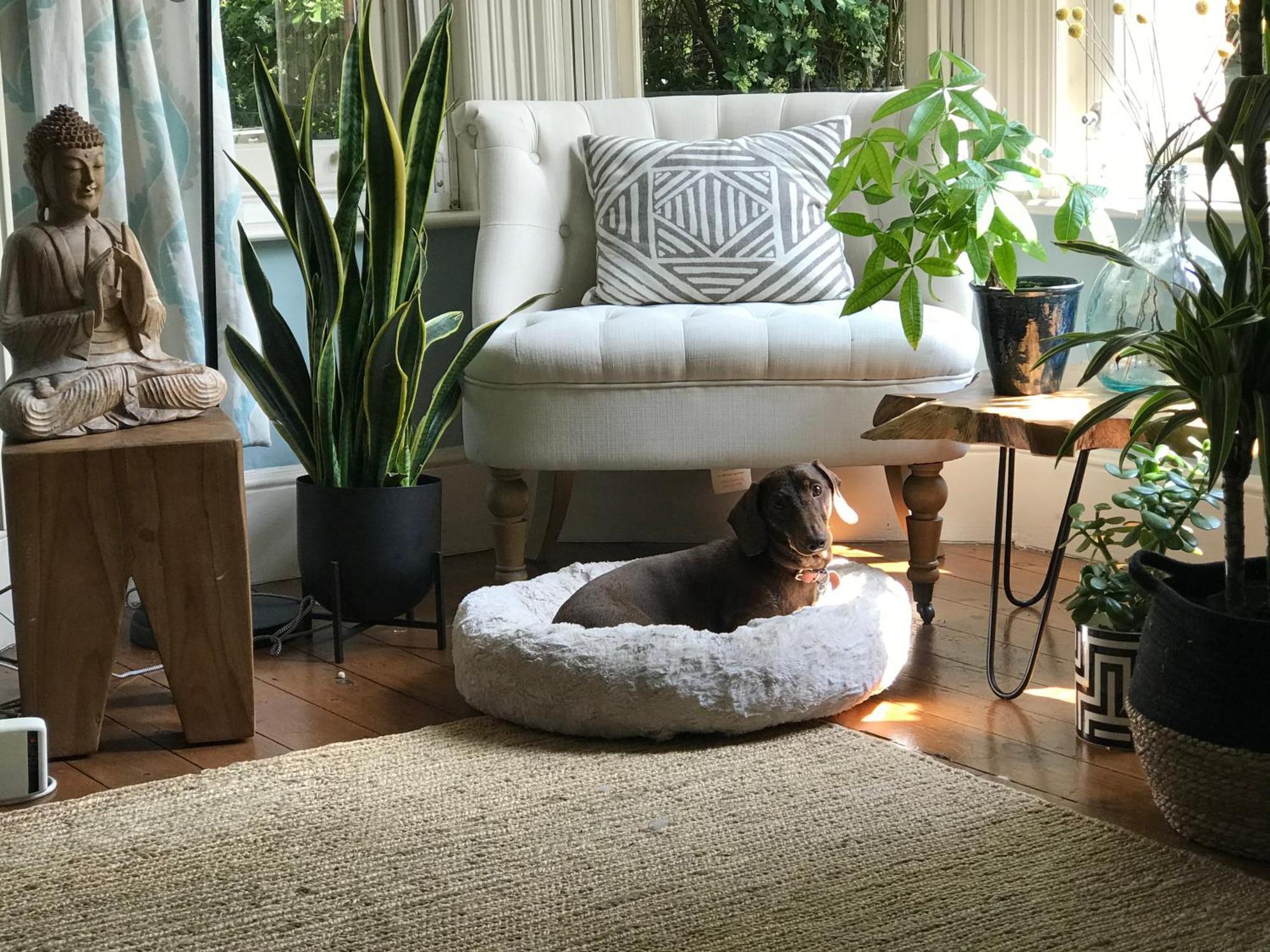 Dawn And Dudley The Sausage Dog'S Parkside Home London Eksteriør billede